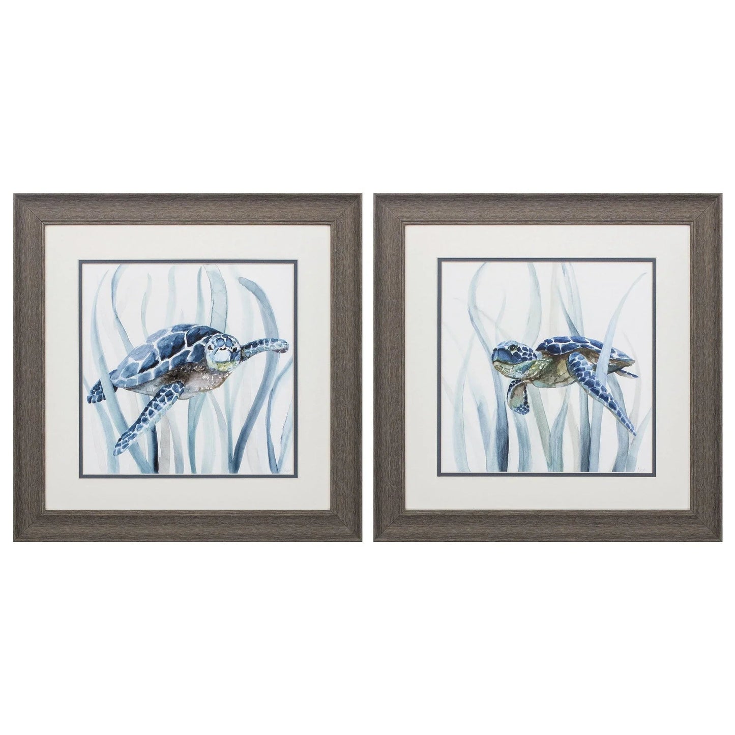 Turtle in Grass Blue Framed Wall Art 2PC