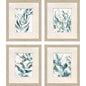 Underwater Botany Blue Framed Wall Art 4PC