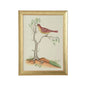Watercolor Birds Gold Wood Framed Artwork-Framed Wall Art-Chelsea House-Birds D-LOOMLAN
