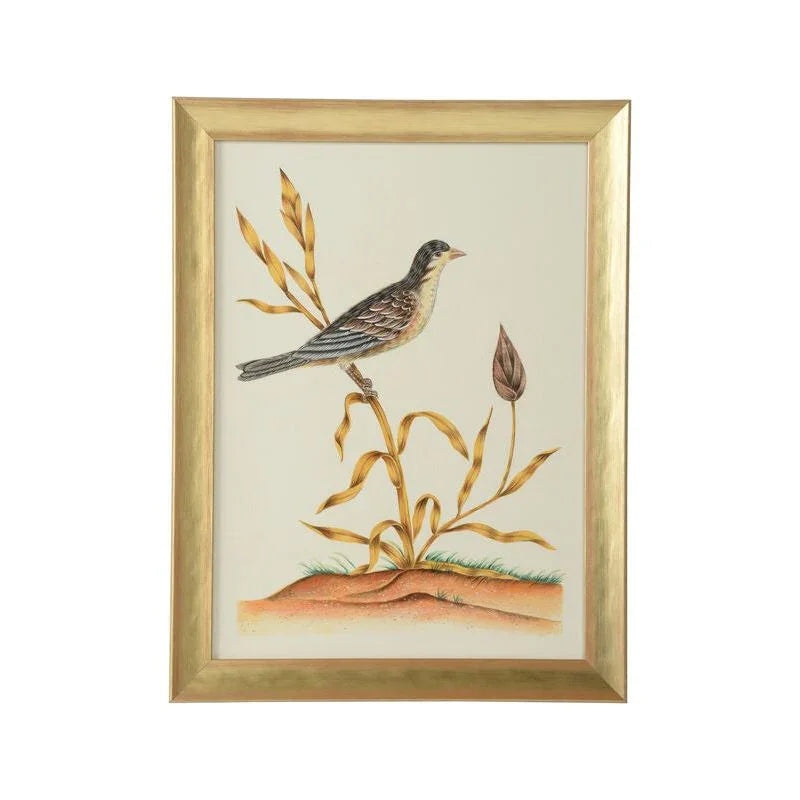 Watercolor Birds Gold Wood Framed Artwork-Framed Wall Art-Chelsea House-Birds C-LOOMLAN