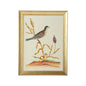 Watercolor Birds Gold Wood Framed Artwork-Framed Wall Art-Chelsea House-Birds C-LOOMLAN