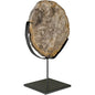 Wood Fossil With Stand Sculpture