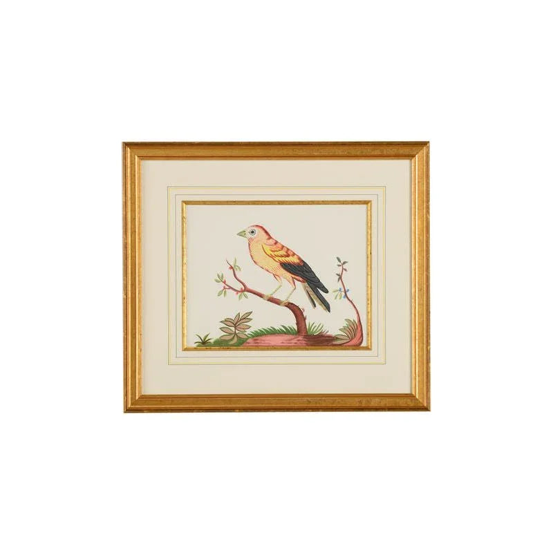 Yellow Wing/Rd Berry Gold Framed Watercolor Artwork-Framed Wall Art-Chelsea House-LOOMLAN