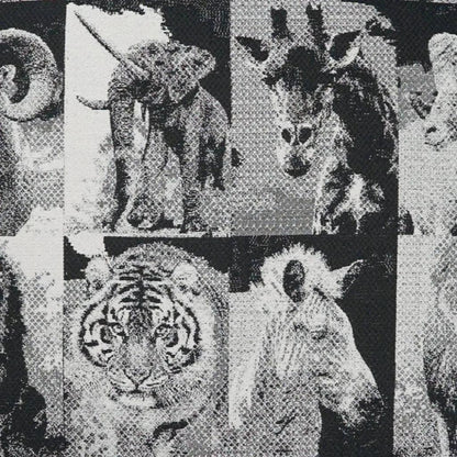 Zoology Black Throw Pillow With Insert - LOOMLAN - D.V. Kap - Throw Pillows